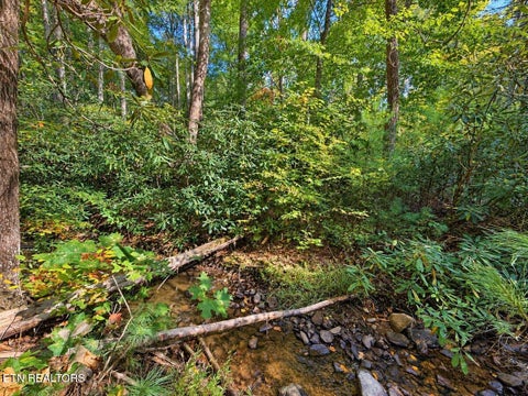 Tiny photo for 142 Rivendell Lane, Tellico Plains, TN 37385 (MLS # 1359636)