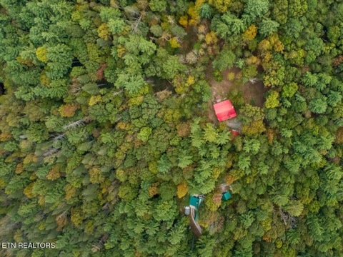 Tiny photo for 142 Rivendell Lane, Tellico Plains, TN 37385 (MLS # 1359636)