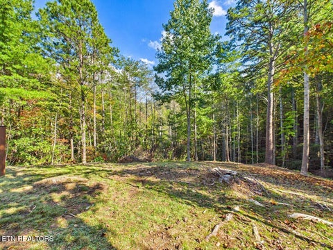 Tiny photo for 142 Rivendell Lane, Tellico Plains, TN 37385 (MLS # 1359636)