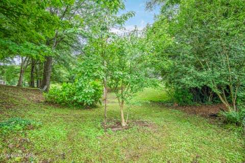 Tiny photo for 501 Oran Zirkle Rd, Kingston, TN 37763 (MLS # 1350062)