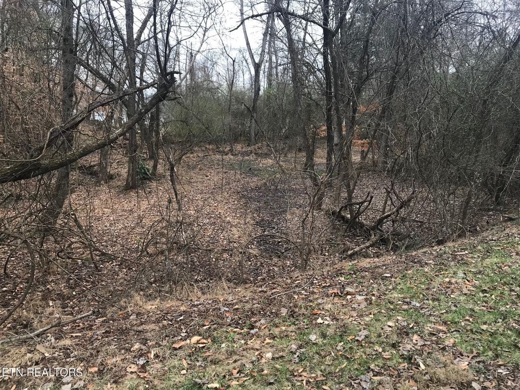 Photo of Cherokee Circle, Ten Mile, TN 37880 (MLS # 1254671)