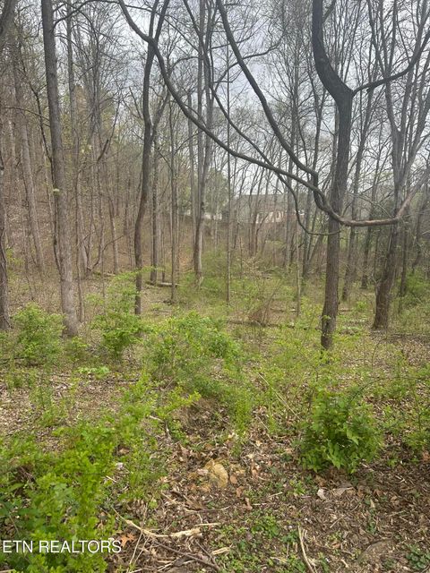 Tiny photo for Mountain Grove Lane, Seymour, TN 37865 (MLS # 1334720)
