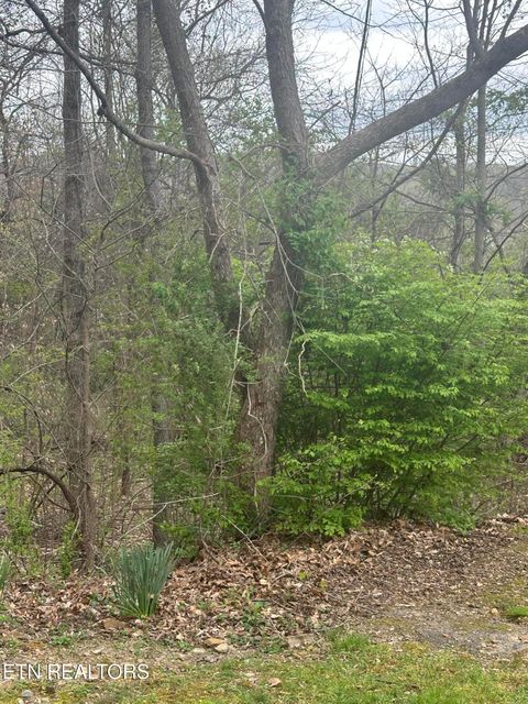Tiny photo for Mountain Grove Lane, Seymour, TN 37865 (MLS # 1334720)