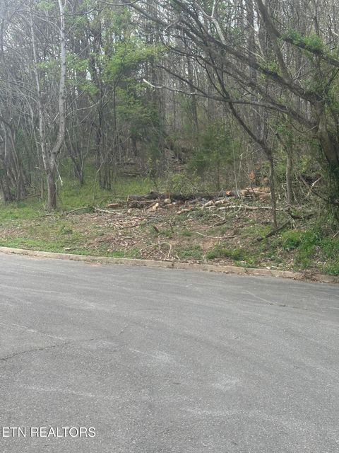 Tiny photo for Mountain Grove Lane, Seymour, TN 37865 (MLS # 1334720)