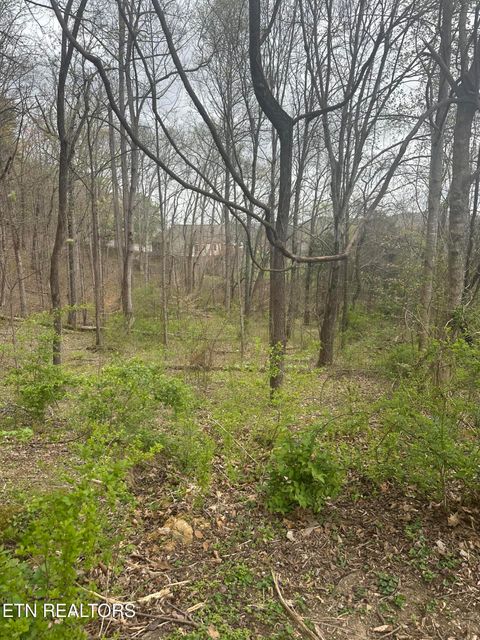 Photo of Mountain Grove Lane, Seymour, TN 37865 (MLS # 1334720)