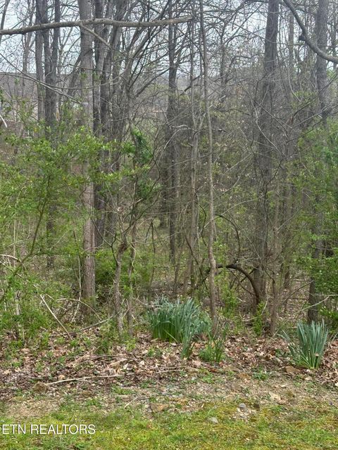 Tiny photo for Mountain Grove Lane, Seymour, TN 37865 (MLS # 1334720)