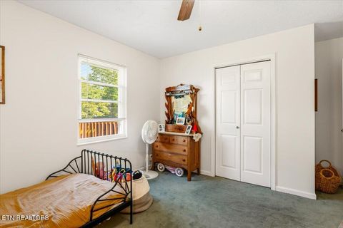 Tiny photo for 327 Gail Lane, Jacksboro, TN 37757 (MLS # 1340404)