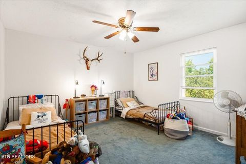 Tiny photo for 327 Gail Lane, Jacksboro, TN 37757 (MLS # 1340404)