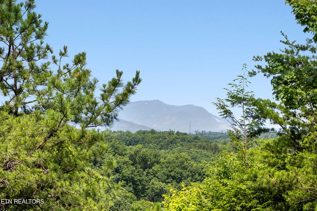 Photo of 2526 N School House Gap Rd, Sevierville, TN 37876 (MLS # 1305642)