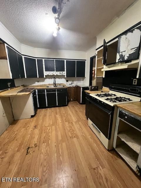 Tiny photo for 1588 hwy 116, Caryville, TN 37714 (MLS # 1338050)