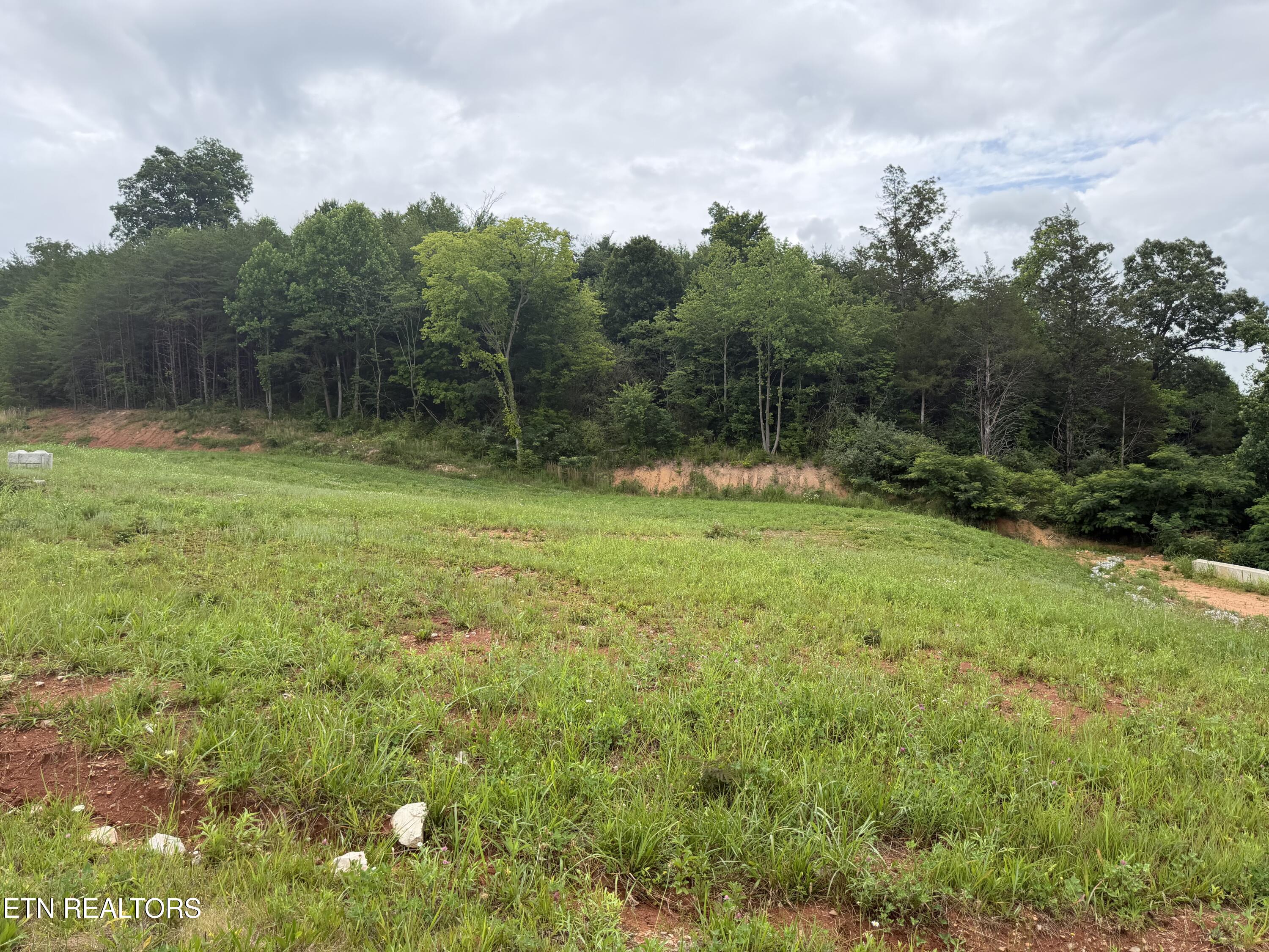 Photo 1 of 6 — Bear Lane, Tellico Plains, TN 37385