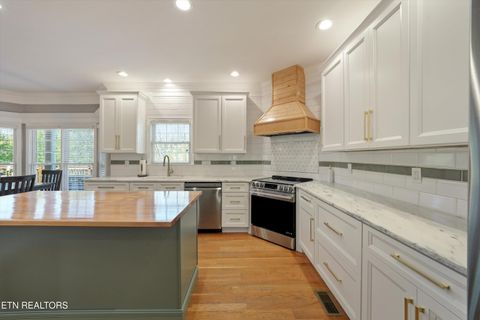 Tiny photo for 175 Valley View, Maynardville, TN 37807 (MLS # 1336246)