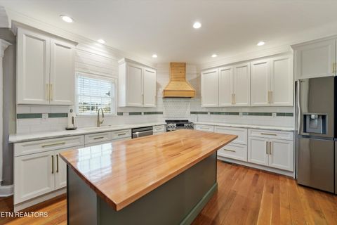 Tiny photo for 175 Valley View, Maynardville, TN 37807 (MLS # 1336246)