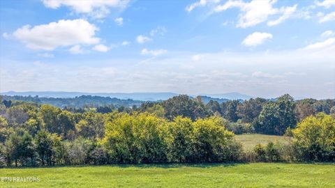 Tiny photo for 00 County Road 356, Sweetwater, TN 37874 (MLS # 1317789)