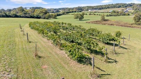 Tiny photo for 00 County Road 356, Sweetwater, TN 37874 (MLS # 1317789)