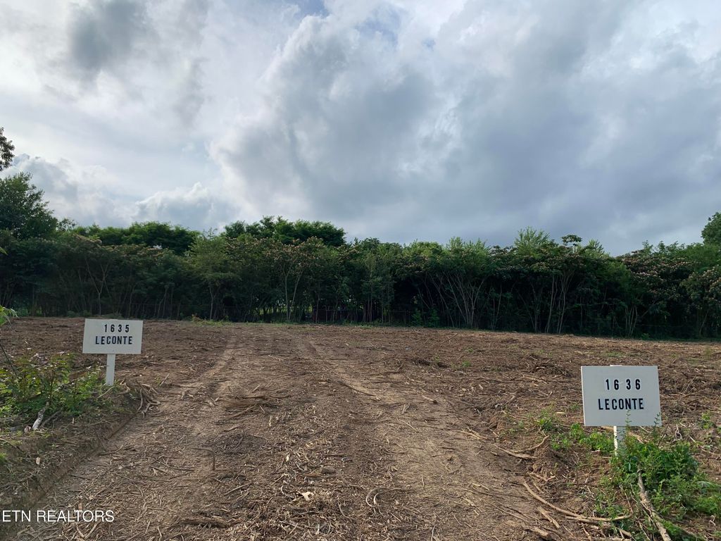 Photo of 1636 Leconte Rd, Knoxville, TN 37914 (MLS # 1333875)