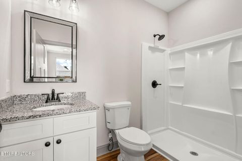 Tiny photo for 706 Paso Tr, Seymour, TN 37865 (MLS # 1318792)