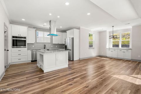 Tiny photo for 706 Paso Tr, Seymour, TN 37865 (MLS # 1318792)