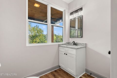 Tiny photo for 706 Paso Tr, Seymour, TN 37865 (MLS # 1318792)