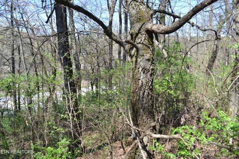Tiny photo for 3024 US-411, Maryville, TN 37801 (MLS # 1332491)
