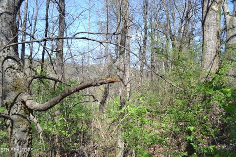 Tiny photo for 3024 US-411, Maryville, TN 37801 (MLS # 1332491)