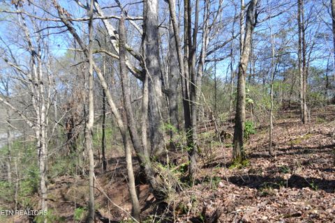 Tiny photo for 3024 US-411, Maryville, TN 37801 (MLS # 1332491)