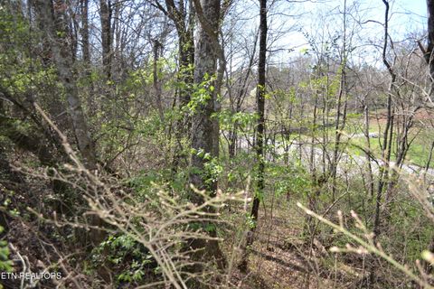 Tiny photo for 3024 US-411, Maryville, TN 37801 (MLS # 1332491)