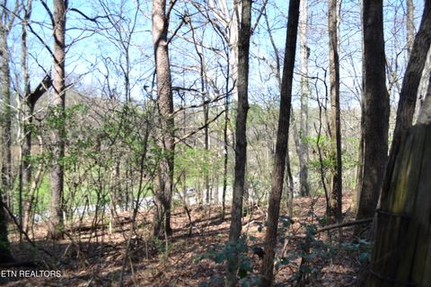 Tiny photo for 3024 US-411, Maryville, TN 37801 (MLS # 1332491)