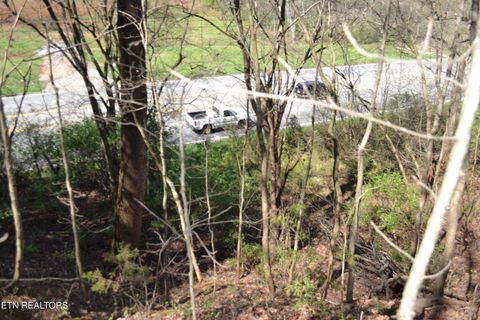 Tiny photo for 3024 US-411, Maryville, TN 37801 (MLS # 1332491)