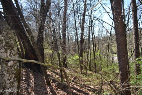 Tiny photo for 3024 US-411, Maryville, TN 37801 (MLS # 1332491)