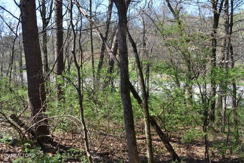 Tiny photo for 3024 US-411, Maryville, TN 37801 (MLS # 1332491)