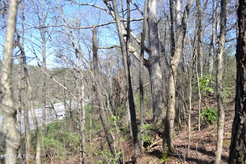 Tiny photo for 3024 US-411, Maryville, TN 37801 (MLS # 1332491)
