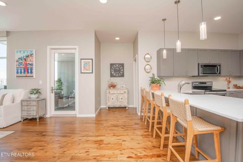 Tiny photo for 333 W Depot Ave #509, Knoxville, TN 37917 (MLS # 1337947)