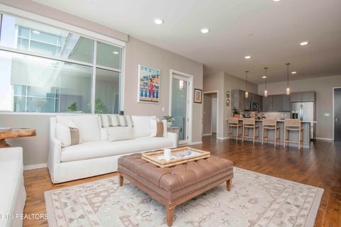 Tiny photo for 333 W Depot Ave #509, Knoxville, TN 37917 (MLS # 1337947)
