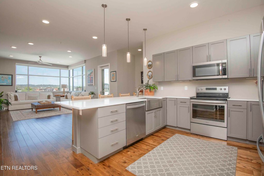 Photo of 333 W Depot Ave #509, Knoxville, TN 37917 (MLS # 1337947)