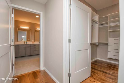 Tiny photo for 333 W Depot Ave #509, Knoxville, TN 37917 (MLS # 1337947)
