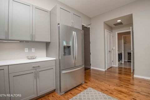 Tiny photo for 333 W Depot Ave #509, Knoxville, TN 37917 (MLS # 1337947)