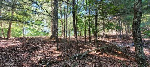 Tiny photo for 123 Dogwood Court, Spring City, TN 37381 (MLS # 1338687)