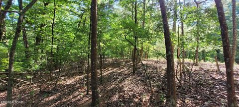 Tiny photo for 123 Dogwood Court, Spring City, TN 37381 (MLS # 1338687)