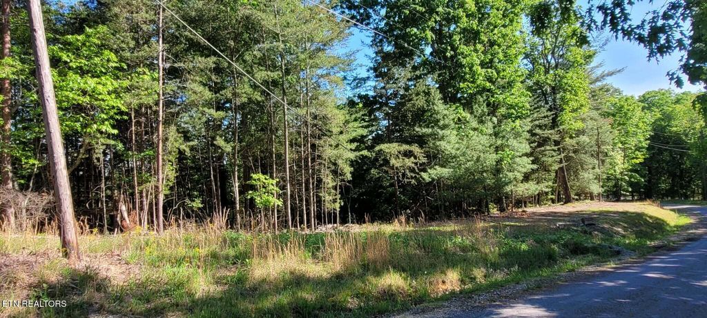 Photo of 123 Dogwood Court, Spring City, TN 37381 (MLS # 1338687)