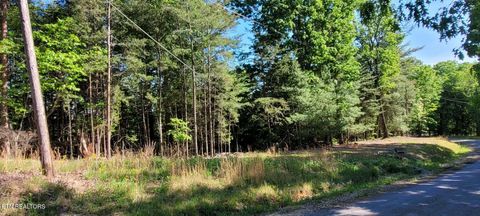 Photo of 123 Dogwood Court, Spring City, TN 37381 (MLS # 1338687)