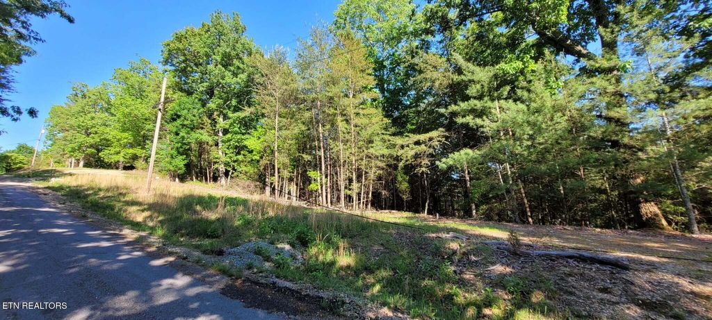 Photo of 123 Dogwood Court, Spring City, TN 37381 (MLS # 1338687)