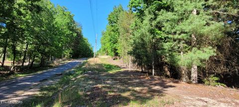 Tiny photo for 123 Dogwood Court, Spring City, TN 37381 (MLS # 1338687)