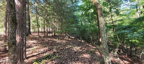 Tiny photo for 123 Dogwood Court, Spring City, TN 37381 (MLS # 1338687)