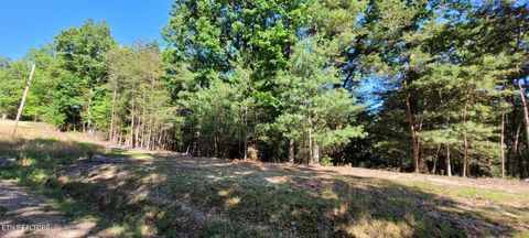 Tiny photo for 123 Dogwood Court, Spring City, TN 37381 (MLS # 1338687)