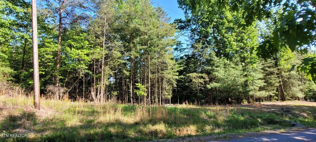 Photo of 123 Dogwood Court, Spring City, TN 37381 (MLS # 1338687)