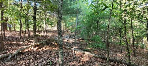 Tiny photo for 123 Dogwood Court, Spring City, TN 37381 (MLS # 1338687)