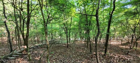 Tiny photo for 123 Dogwood Court, Spring City, TN 37381 (MLS # 1338687)