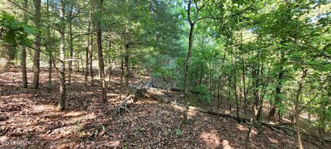 Tiny photo for 123 Dogwood Court, Spring City, TN 37381 (MLS # 1338687)