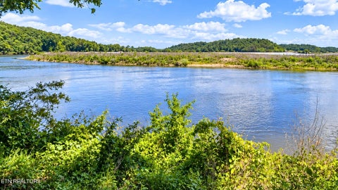 Tiny photo for 2201 Stepp Rd, Bybee, TN 37713 (MLS # 1359947)